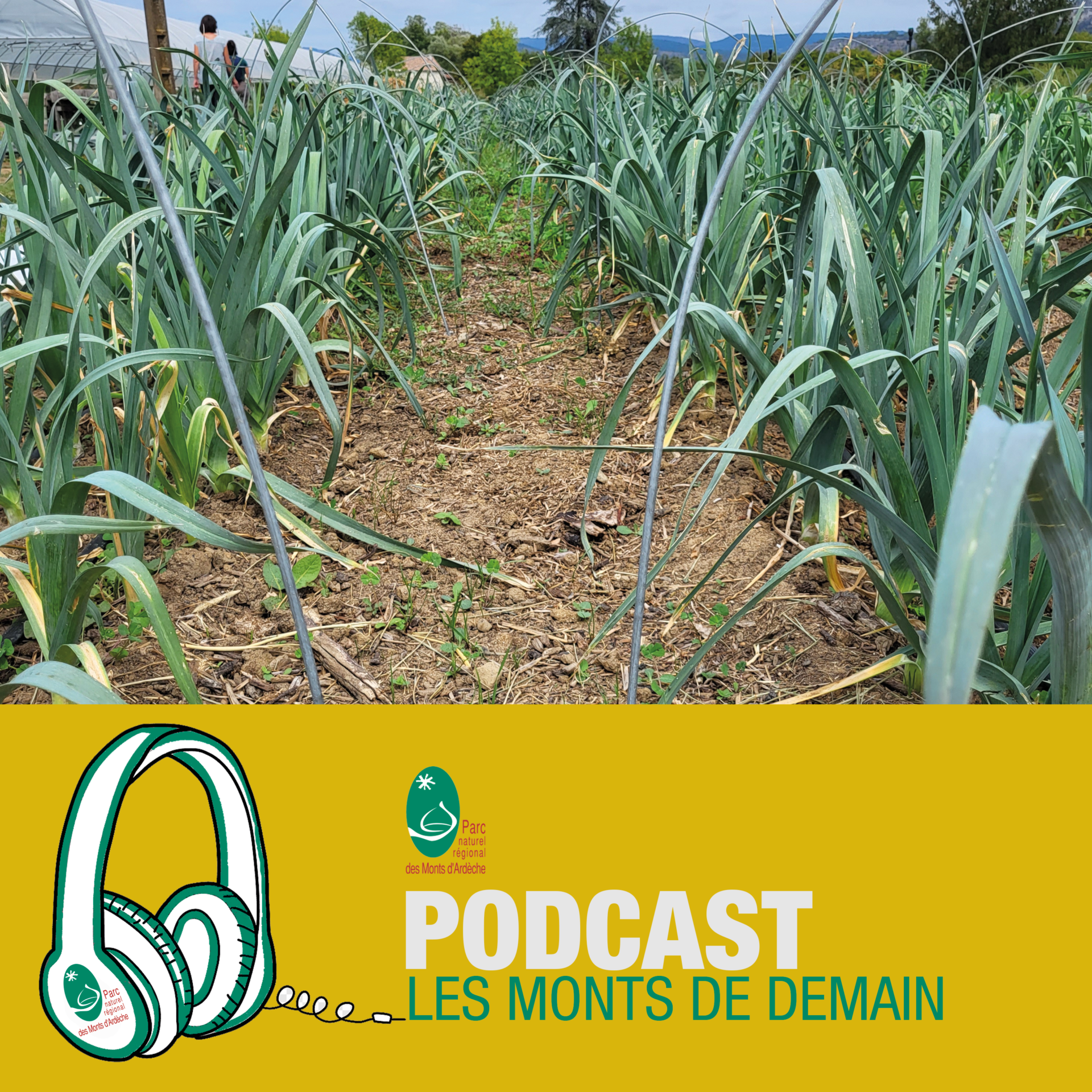 Les Monts de Demain
