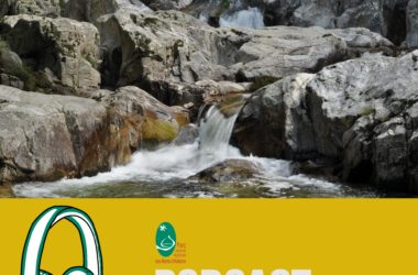 Eau et changement climatique : mouillons-nous dès aujourd’hui