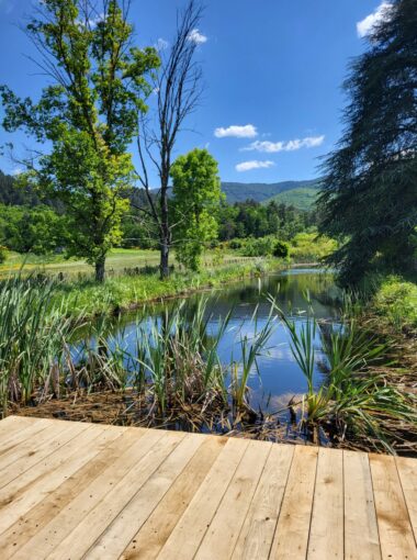 Le sentier qui pétille