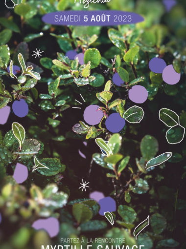 Dépliant fête de la myrtille – 5 août 2023