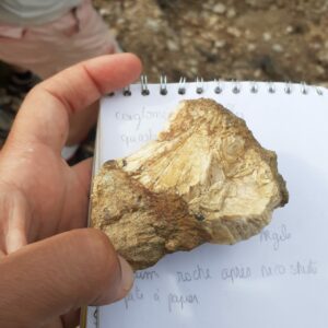 mardi28avril roches MDP