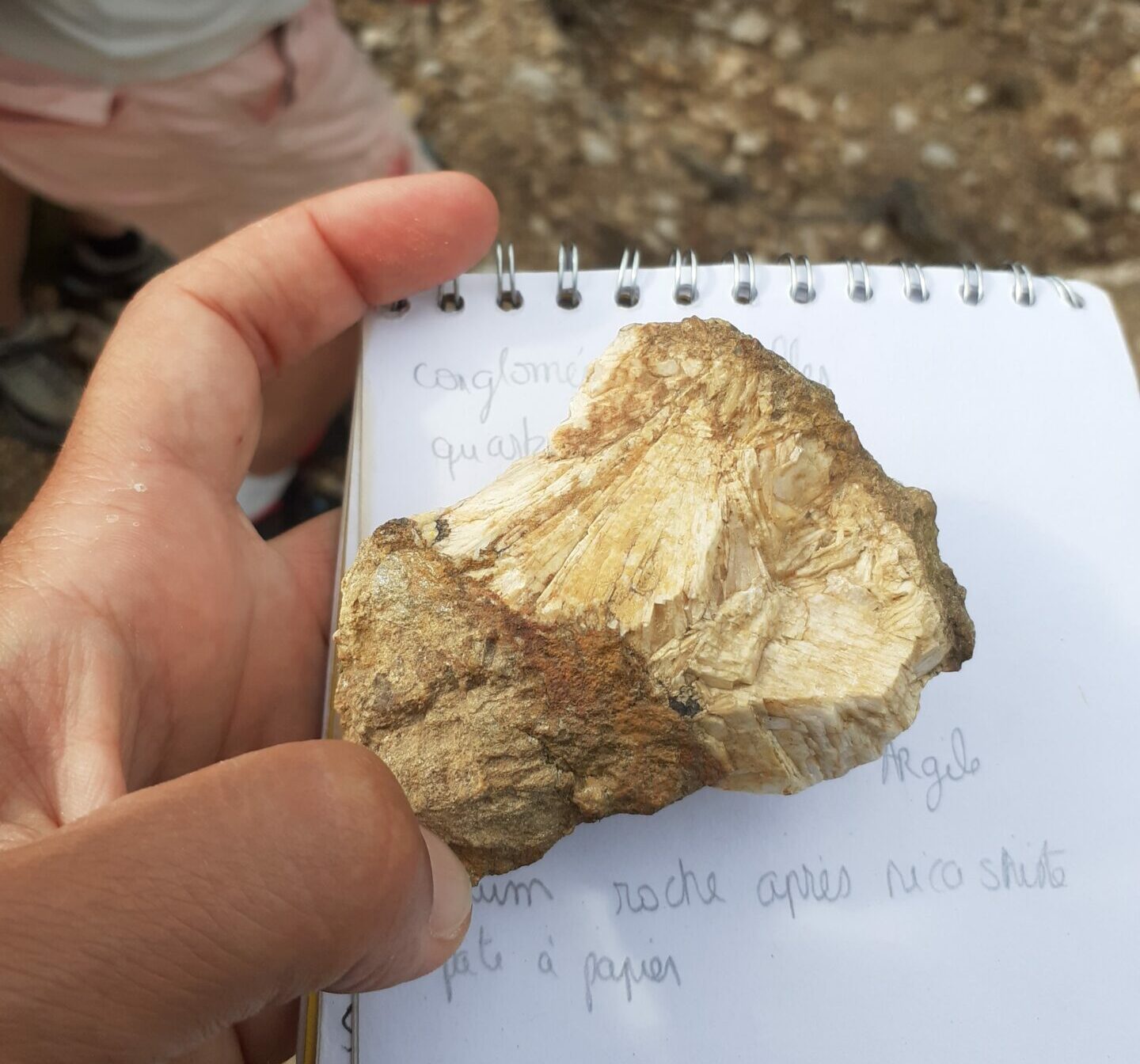 mardi28avril roches MDP