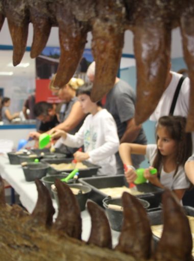 Les acteurs de l’éducation au territoire