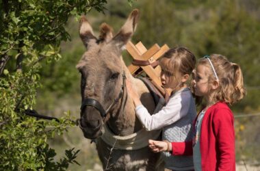 L’éducation au territoire prépare aussi sa rentrée !