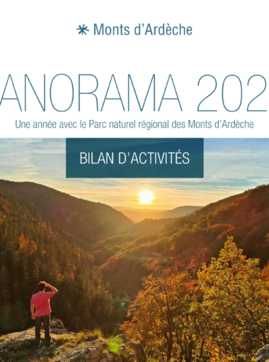 PANORAMA 2025