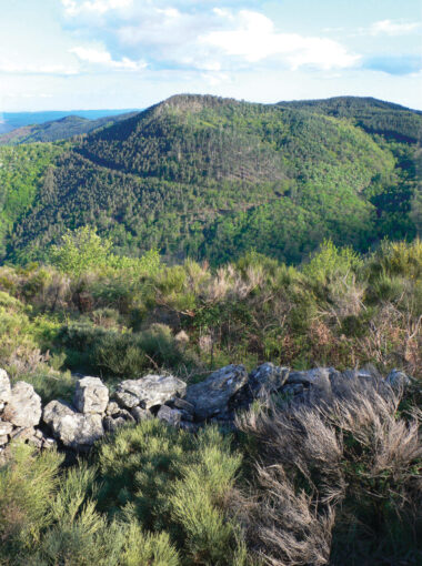 La Coupe d’Aizac et sa coulée basaltique