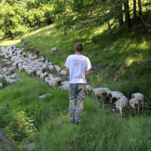 Photo JP Vallorani THIBAUTLOUCHE003