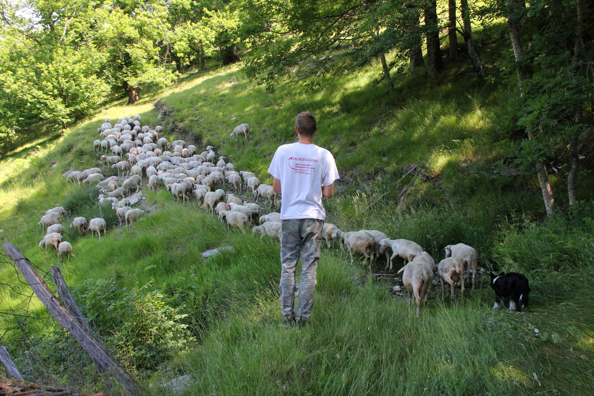 Photo JP Vallorani THIBAUTLOUCHE003