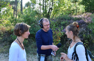 Les Pieds dans le Parc «Terre Création Territoire »