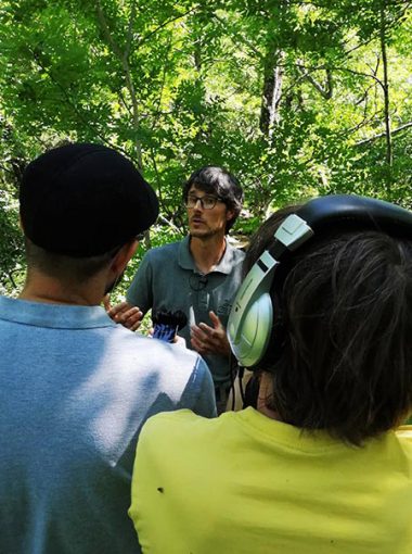 Chroniques des 20 ans de Parc
