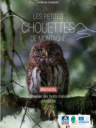 MEMENTO Petites chouettes de Montagne