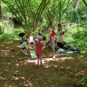 RDV Biotrésors 15 avril jeune pousse @anais Laurioux