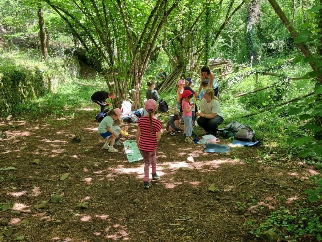 RDV Biotrésors 15 avril jeune pousse @anais Laurioux