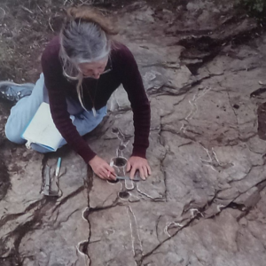 releve de petroglyphes region des Vans