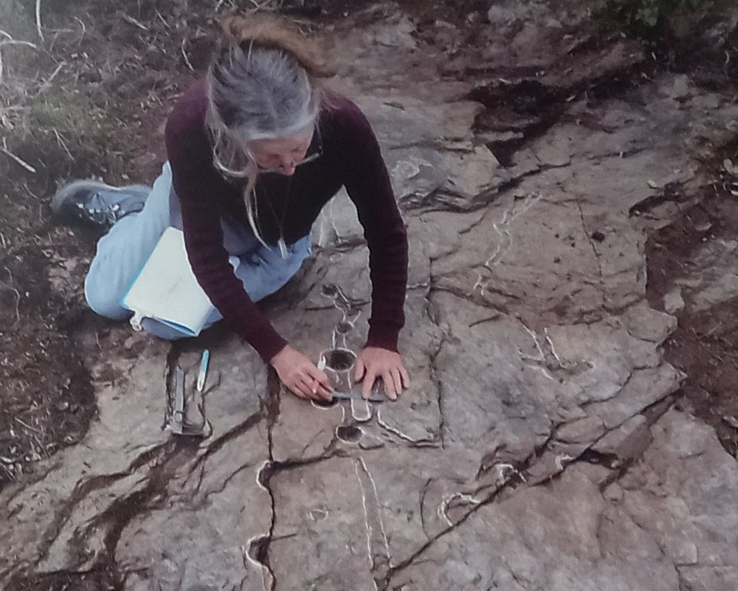 releve de petroglyphes region des Vans