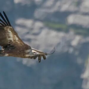 Screenshot 20260305 124342 Instagram