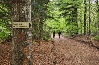 LES PIEDS DANS LE PARC Mai 2023 : la 8ème œuvre du PARTAGE DES EAUX
