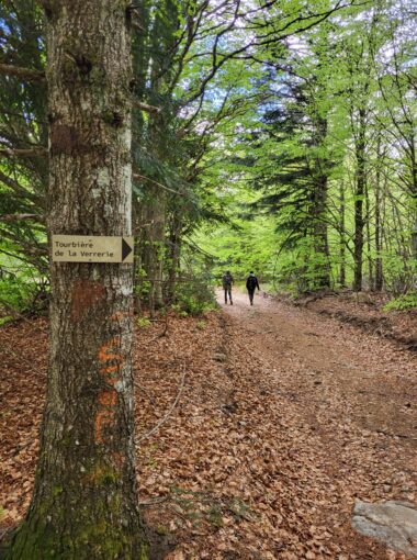 LES PIEDS DANS LE PARC Mai 2023 : la 8ème œuvre du PARTAGE DES EAUX
