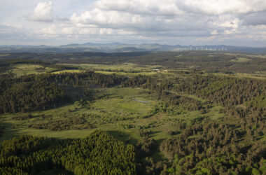 NOUVEAU FILM : Les tourbières des Monts d’Ardèche, l’eau à la source