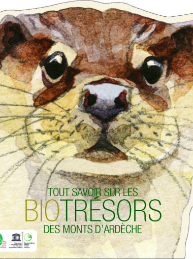 Tout savoir sur les Biotrésors