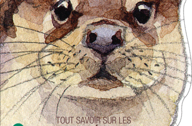 Tout savoir sur les biotrésors !