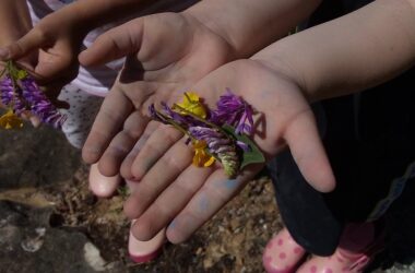 Appel à participation au projet Ecole dehors 2023