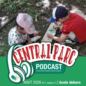 CENTRAL PARC épisode 11 saison 2 - l'école dehors aux Vans