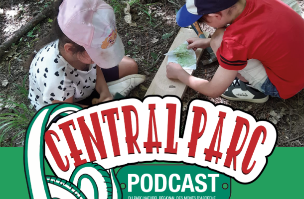 CENTRAL PARC – épisode 11