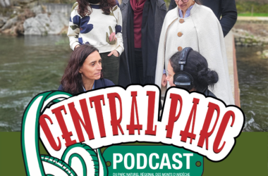 CENTRAL PARC #7 Il n’est pas trop tard