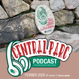 CENTRAL PARC épisode 5 saison 2 : Pierre sèche et mosaïque
