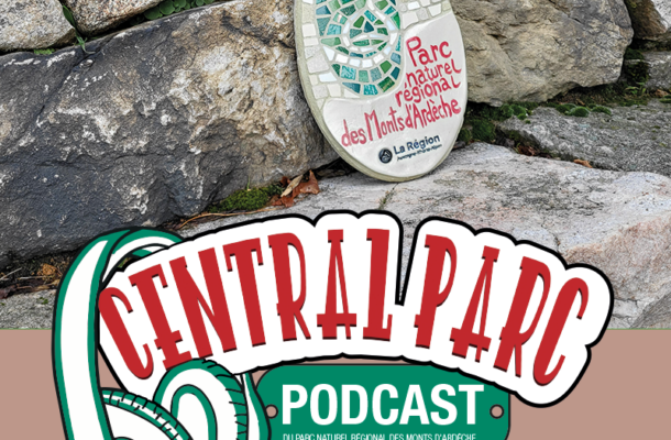 Central Parc : Pierre-sèche et mosaïque