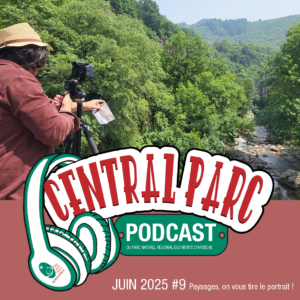 CENTRAL PARC #9 Paysages, on vous tire le portrait !
