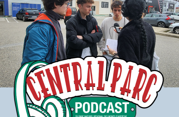 Central Parc : Ciel étoilé et pollution lumineuse